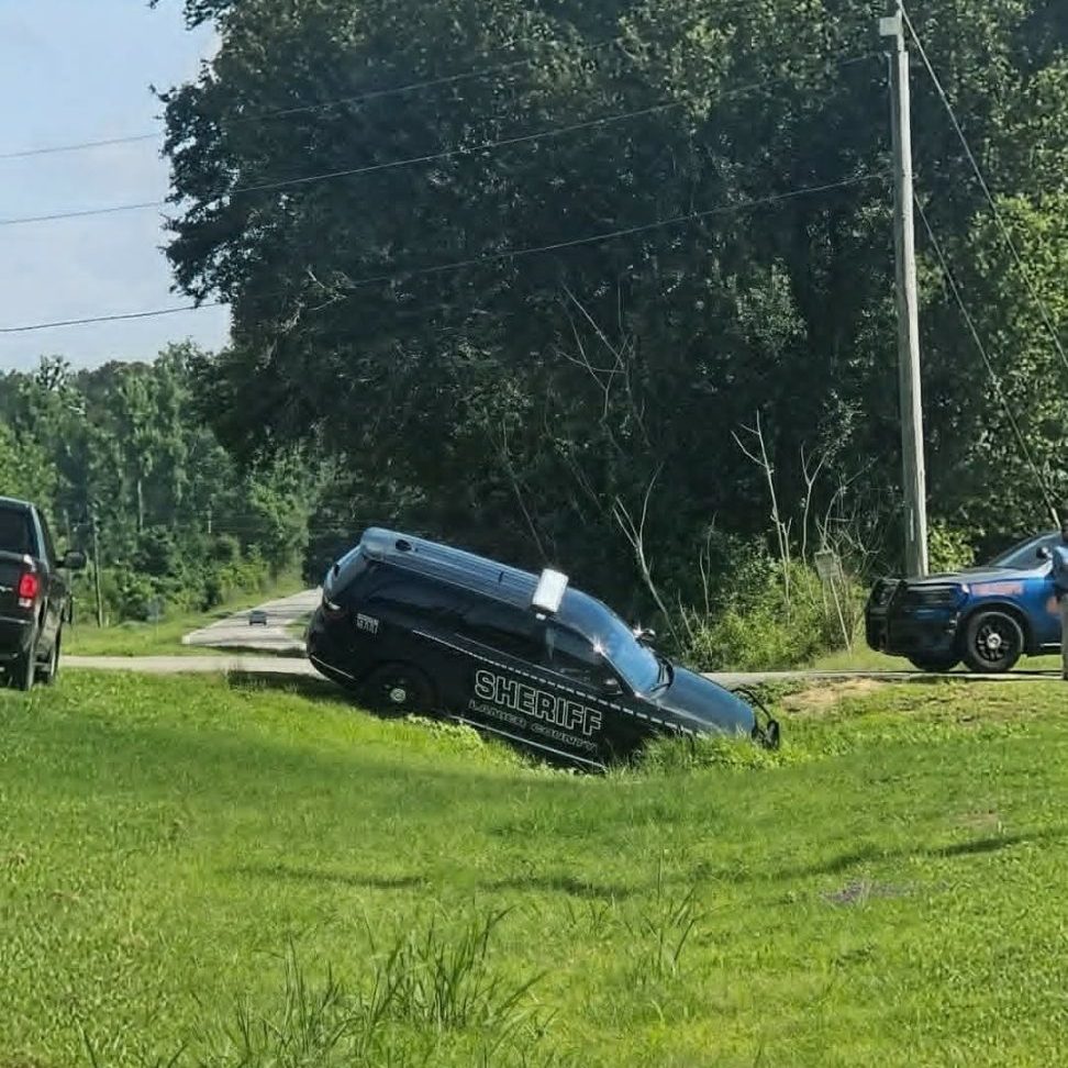 LCSO crash from deer 2026.06.10 .. 01 on Georgia 125
