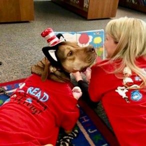 VPD Therapy Dog Five