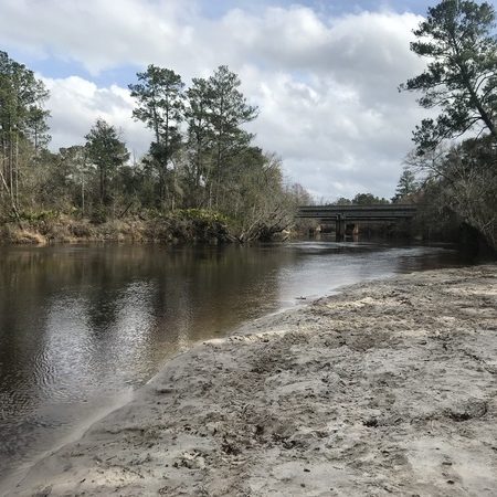 4032x3024 Naylor-beach, , in Naylor Boat Ramp Out and Back, Alapaha River, by Tasha Ekman Laface, for WWALS.net, 13 June 2020, http://wwals.net/2020/05/28/naylor-boat-ramp-out-and-back-alapaha-river-2020-06-13/