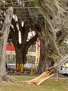 High Winds Cause Downtown Lakeland Power Outage