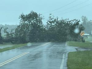Teeterville Hwy Lakeland, GA