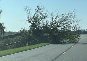 Teeterville Hwy Lakeland, GA